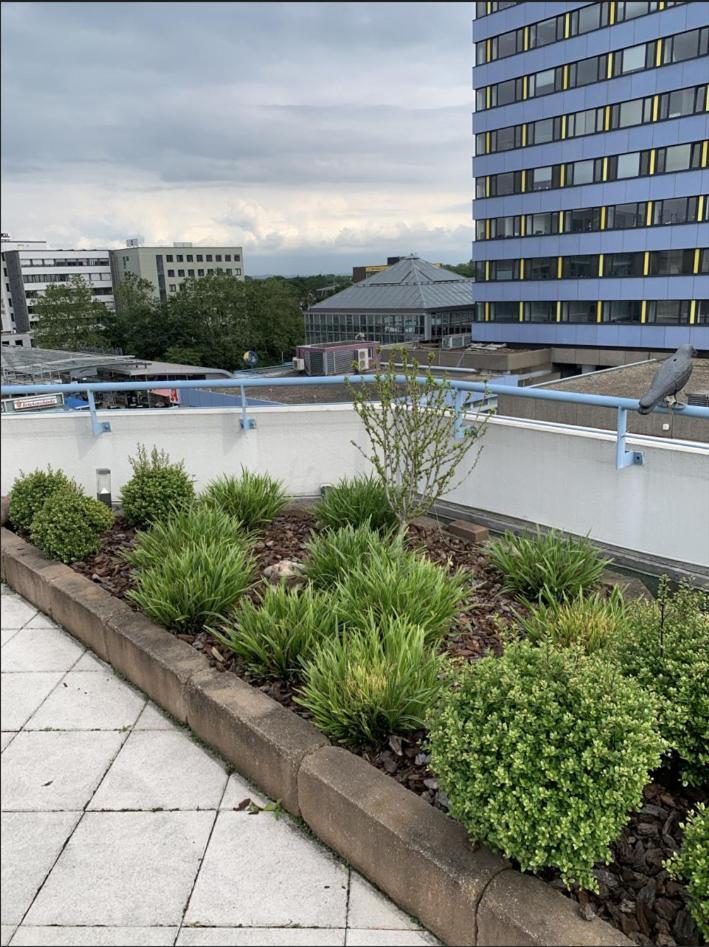 Im Herzen Von Wiesdorf- Blick Auf Das Bayer-Kreuz -Appartement Mit 2 Schlafzimmern-Fuer 3 Personen -Zentral Gelegen - Friedrich Ebert Platz 5A , 4Te Etage - Dachterrasse Und Sauna - Kaution Pflicht - Leverkusen Extérieur photo